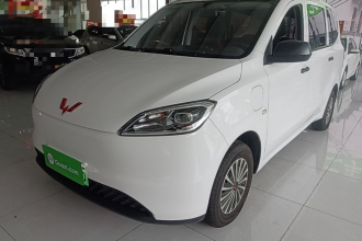 五菱汽车 五菱宏光新能源 2024款 纯电版 300KM 实用型
