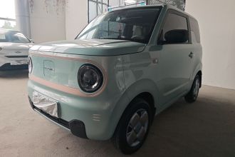 吉利银河 2023款 熊猫mini 200km 耐力熊
