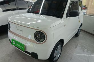 吉利银河 2024款 熊猫mini 200km 耐力熊