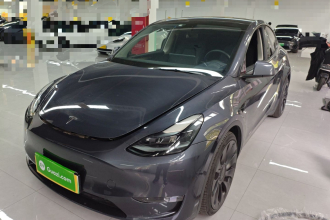 特斯拉 Model Y 2021款 Performance高性能全轮驱动版