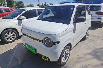 吉利银河 2025款 熊猫mini 210km 元气熊