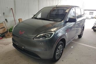 五菱汽车 五菱宏光新能源 2024款 纯电版 300KM 标准型