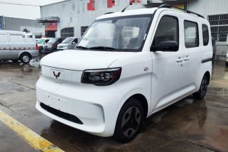 五菱汽车 五菱之光新能源 2025款 305km 进取型