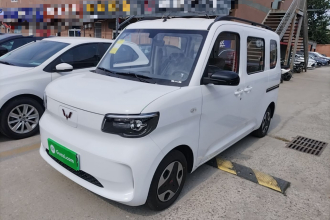 五菱汽车 五菱之光新能源 2025款 305km 进取型