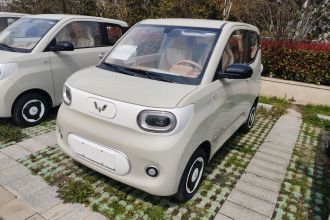 五菱汽车 宏光MINIEV 2024款 第三代 215km 青春版