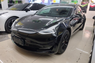 特斯拉 Model 3 2019款 标准续航后驱升级版