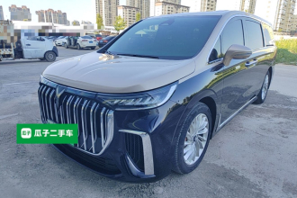 岚图汽车 岚图梦想家 2024款 PHEV 超长续航尊贵版