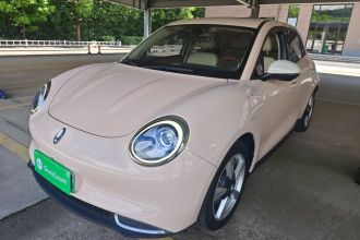 欧拉好猫 2021款 400km标准续航 公务版 磷酸铁锂