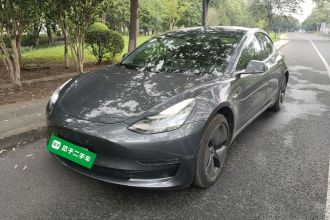特斯拉 Model 3(进口) 2019款 长续航后驱版