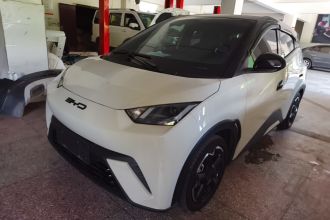 比亚迪 海鸥 2023款 自由版