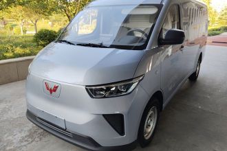 五菱汽车 五菱扬光 2025款 310KM 封窗版宁德时代定制版