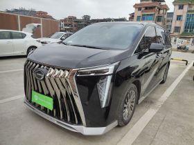 广汽传祺 传祺M8 2023款 宗师系列 400T 至尊版