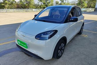 五菱汽车 五菱缤果 2023款 333km 悦享+款