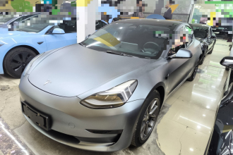特斯拉 Model 3 2022款 后轮驱动版