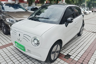 欧拉黑猫 2021款 301km 基础型
