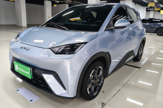 比亚迪 海鸥 2025款 405km 飞翔版