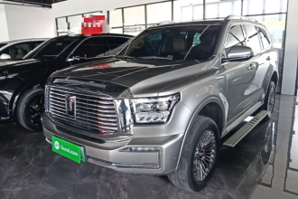 坦克500新能源 2024款 Hi4-T
