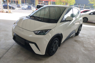 比亚迪 海鸥 2023款 活力版