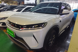 比亚迪 元UP 2025款 智驾版 401KM 活力版