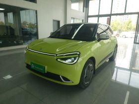 东风纳米 纳米01 2024款 330 Plus