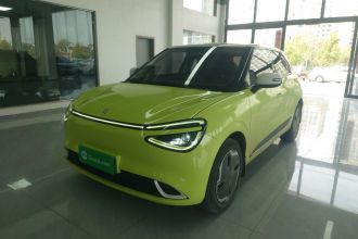 东风纳米 纳米01 2024款 330 Plus