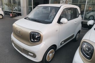 奔腾小马 2025款 222km 闪电马