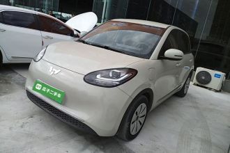 五菱汽车 五菱缤果 2023款 333km 快享款