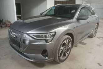 奥迪e-tron(进口) 2019款 55 quattro 技术型