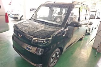 五菱汽车 五菱之光新能源 2025款 305km 进取型