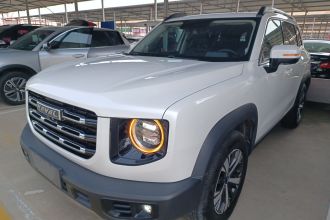 哈弗大狗 2022款 1.5T DCT两驱拉布拉多版