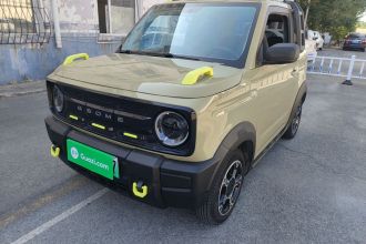吉利银河 2024款 200km 熊猫骑士