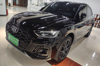 奥迪Q5L 2025款 45周年典藏版 45 TFSI 豪华动感型