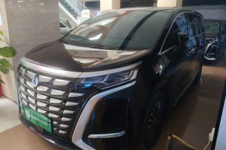 腾势D9 2024款 DM-i 980 四驱旗舰型