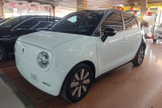 欧拉黑猫 2021款 351km 豪华型