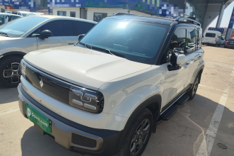 宝骏悦也Plus 2026款 301km旗舰版