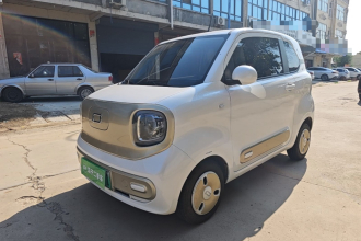 奔腾小马 2024款 170km 元气马