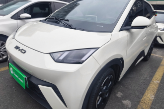 比亚迪 海鸥 2023款 自由版