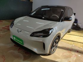 五菱汽车 五菱缤果PLUS 2024款 330km 五座版