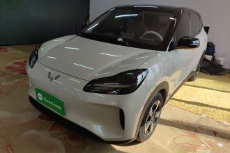 五菱汽车 五菱缤果PLUS 2024款 330km 五座版