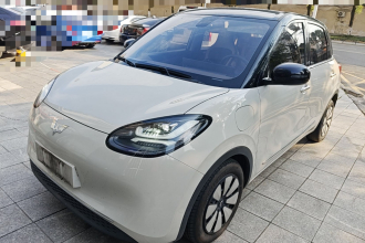 五菱汽车 五菱缤果 2023款 410km 灵犀尊享款