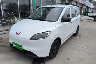 五菱汽车 五菱宏光新能源 2024款 纯电版 300KM 标准型