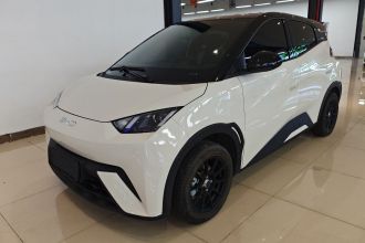 比亚迪 海鸥 2024款 荣耀版 305km 活力版