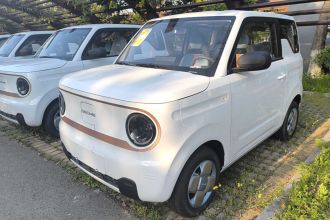 吉利银河 2024款 熊猫mini 200km 耐力熊