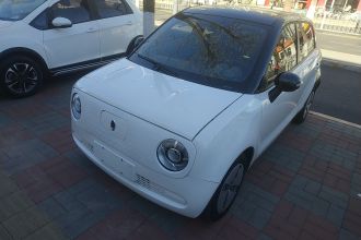 欧拉黑猫 2021款 301km 基础型