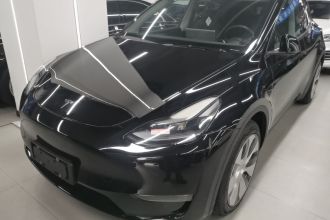 特斯拉 Model Y 2021款 标准续航后驱版