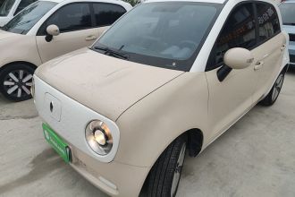 欧拉黑猫 2021款 301km 基础型