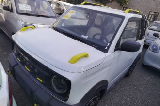 吉利银河 2025款 210km 熊猫骑士