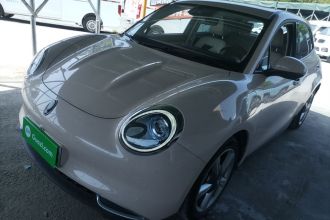 欧拉好猫 2021款 400km标准续航 维纳斯版 三元锂