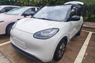 五菱汽车 五菱缤果 2023款 333km 灵犀互联款