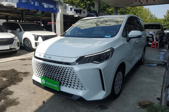 上汽大通MAXUS 大通G50 2024款 1.5T 龙行天下版